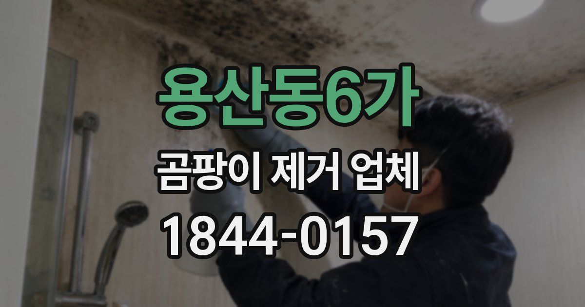 용산동6가 곰팡이 제거 업체