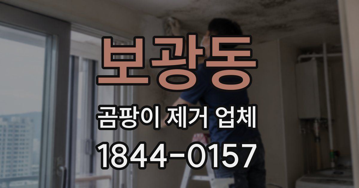 보광동 곰팡이 제거 업체