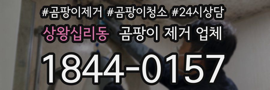 상왕십리동 곰팡이 제거 업체