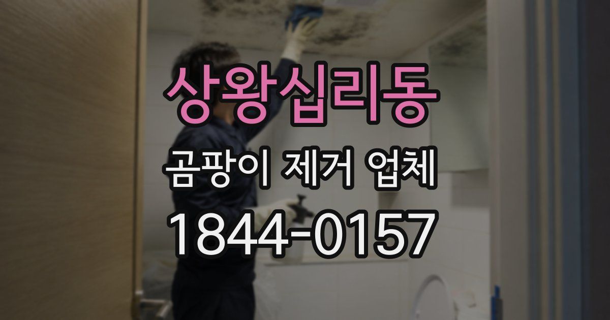 상왕십리동 곰팡이 제거 업체