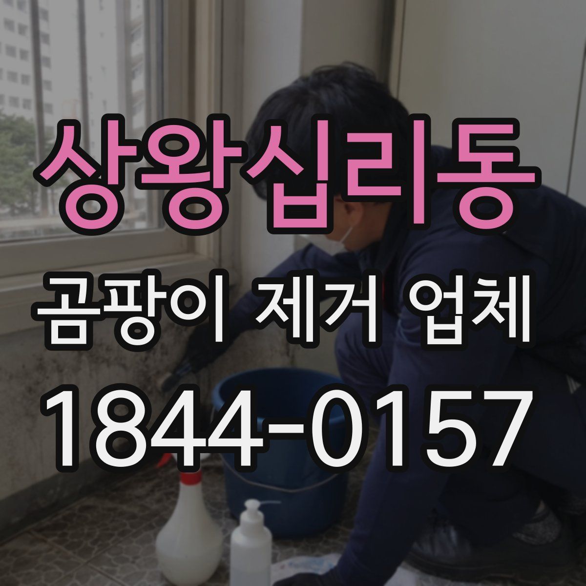 상왕십리동 곰팡이 제거 업체