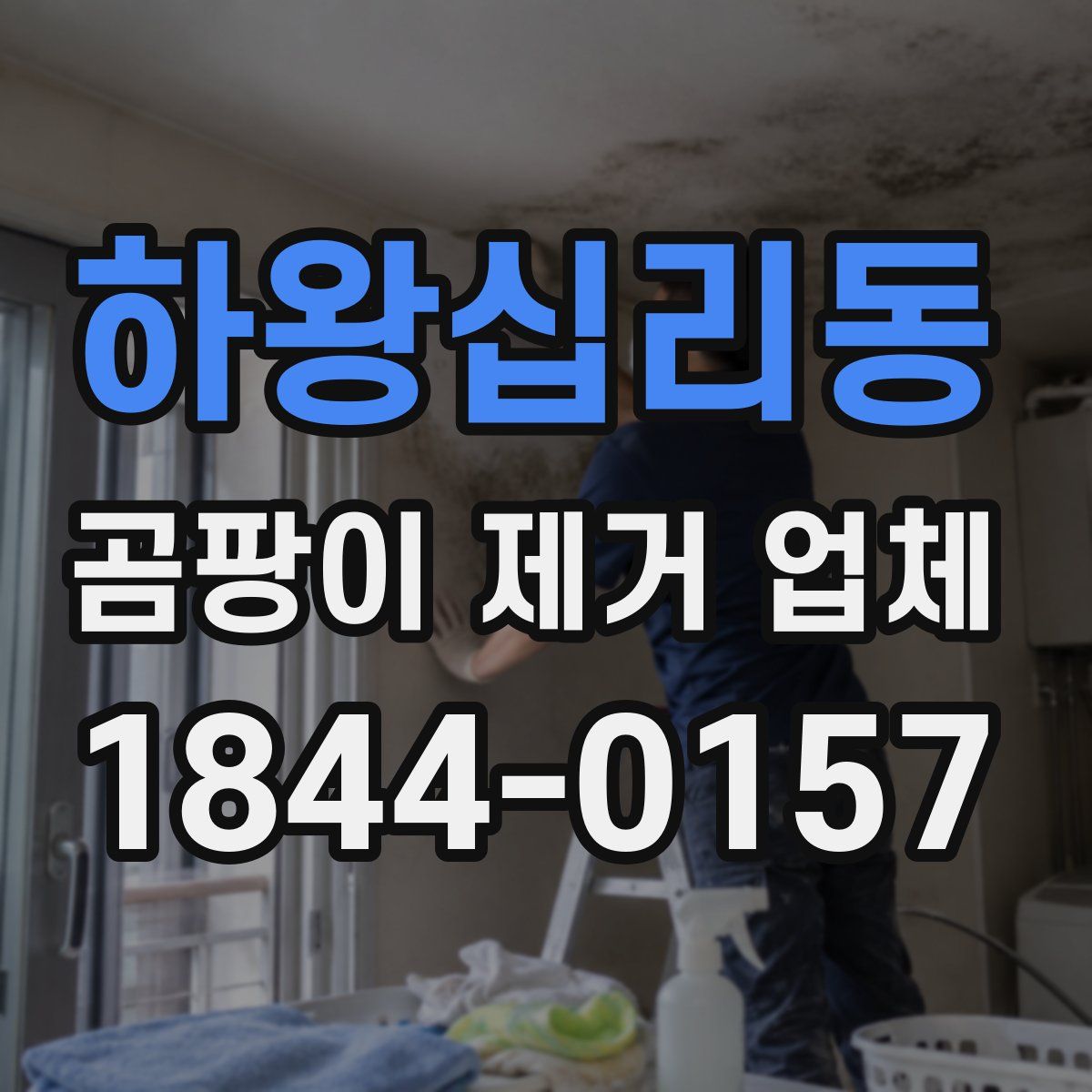 하왕십리동 곰팡이 제거 업체
