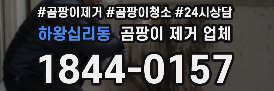 하왕십리동 곰팡이 제거 업체