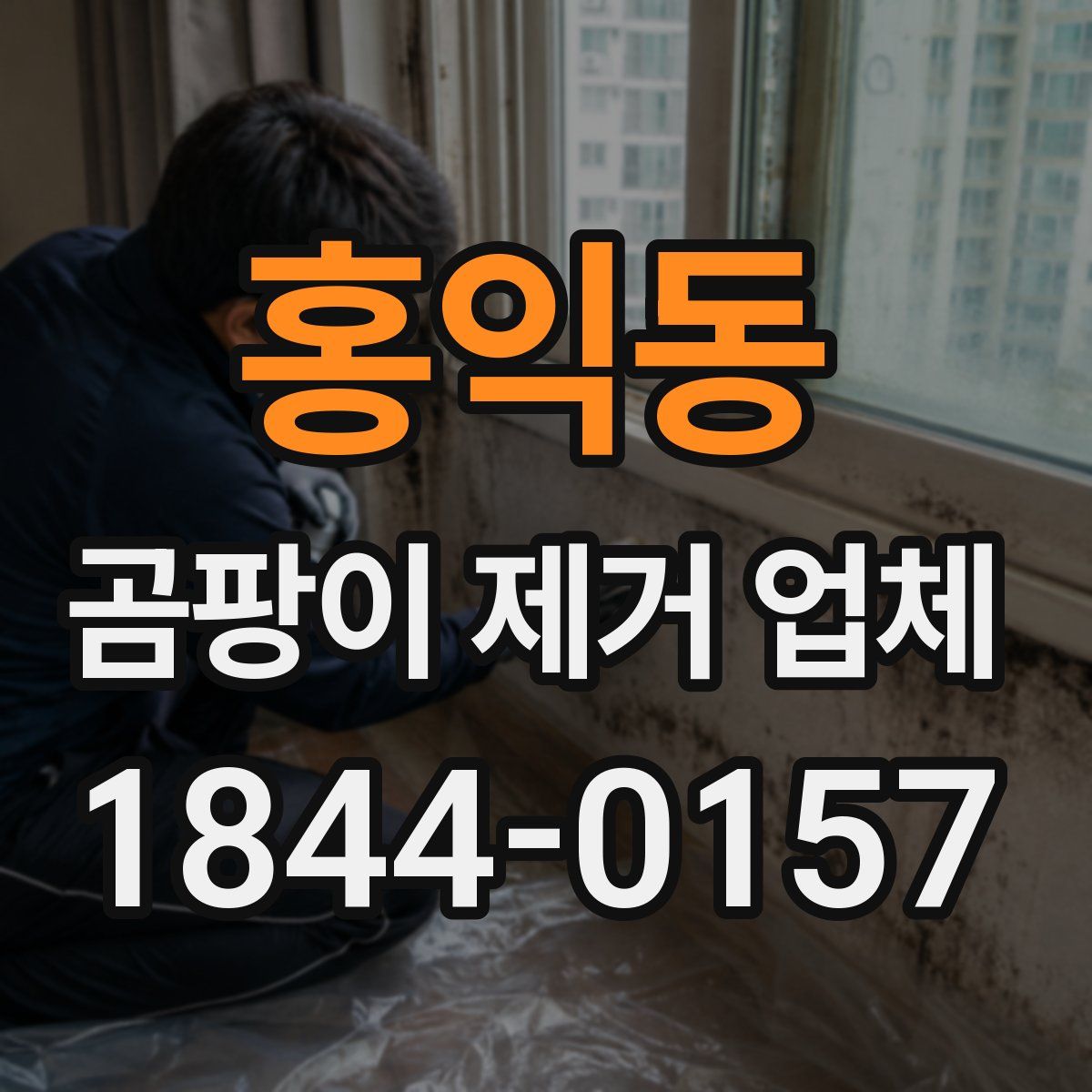 홍익동 곰팡이 제거 업체