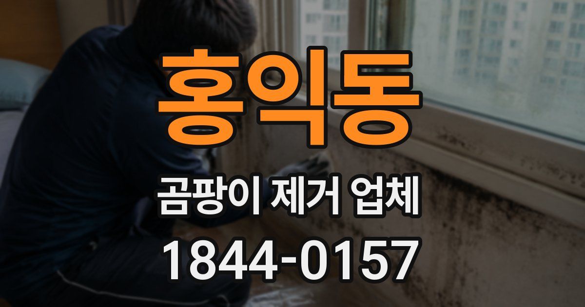 홍익동 곰팡이 제거 업체
