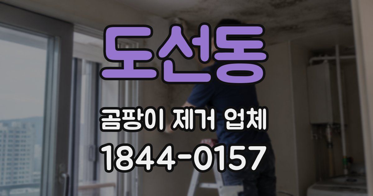 도선동 곰팡이 제거 업체