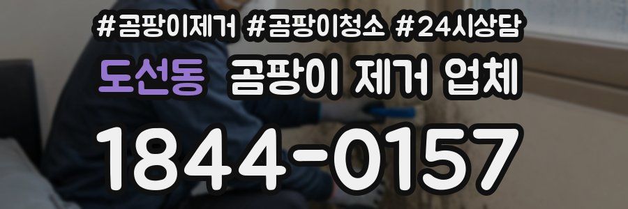 도선동 곰팡이 제거 업체