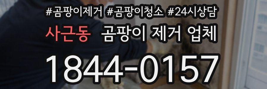 사근동 곰팡이 제거 업체