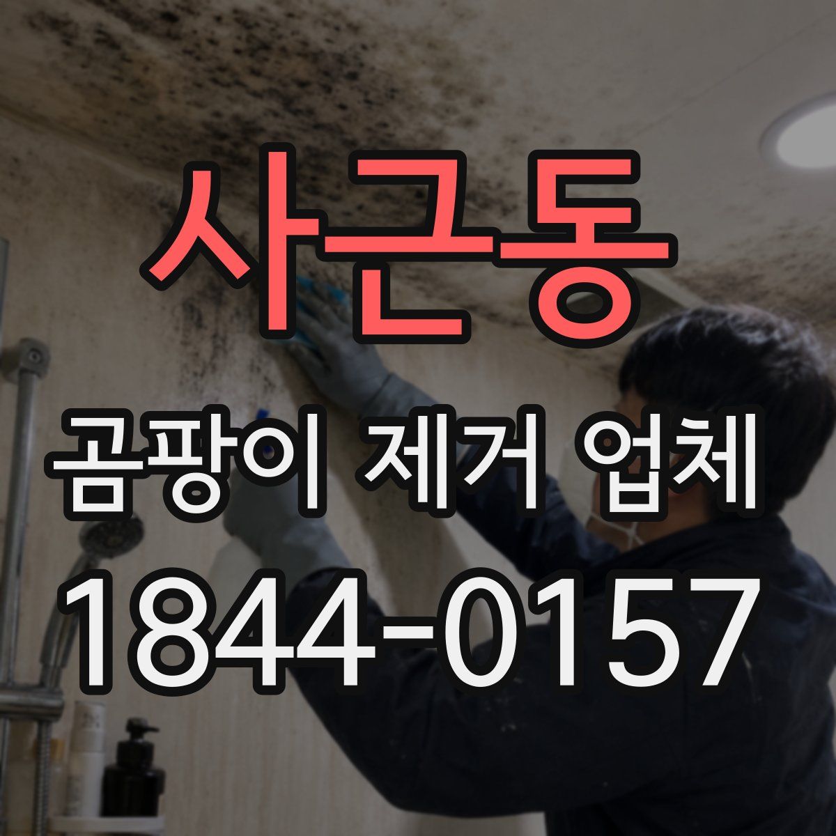 사근동 곰팡이 제거 업체
