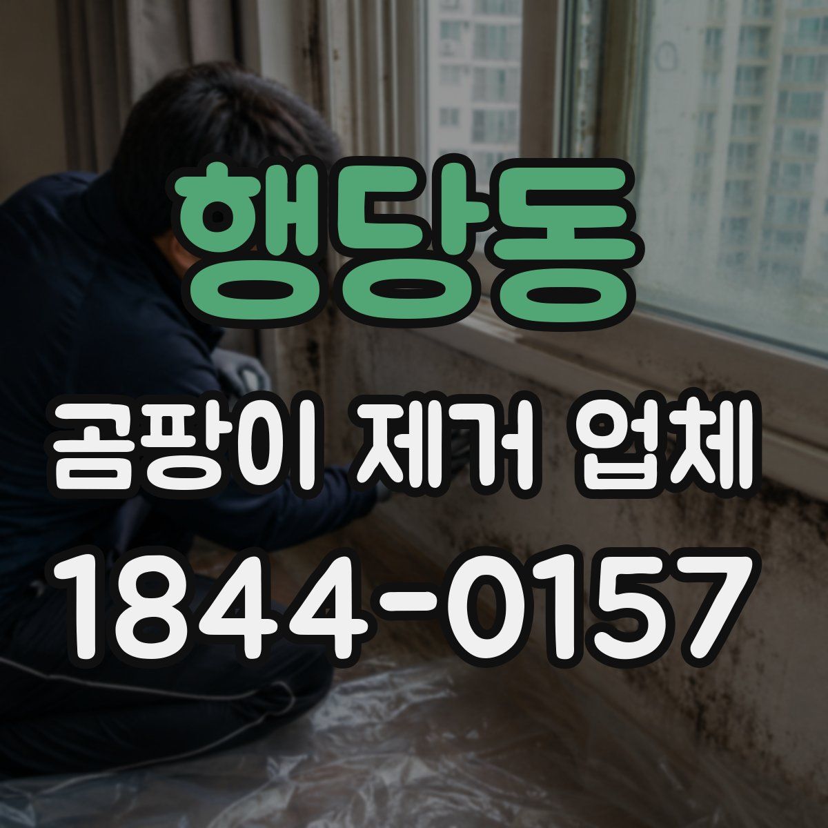 행당동 곰팡이 제거 업체