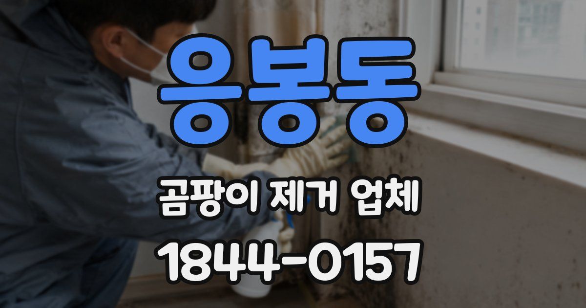 응봉동 곰팡이 제거 업체