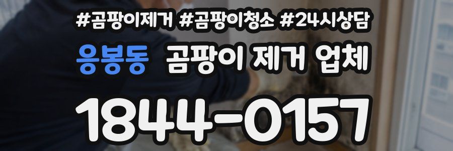 응봉동 곰팡이 제거 업체