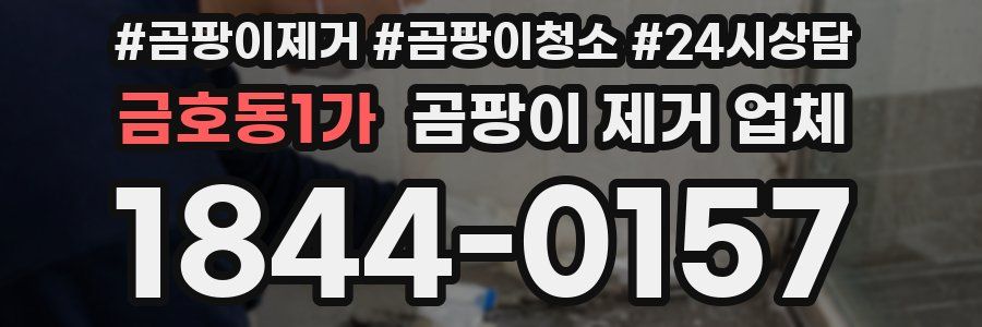 금호동1가 곰팡이 제거 업체