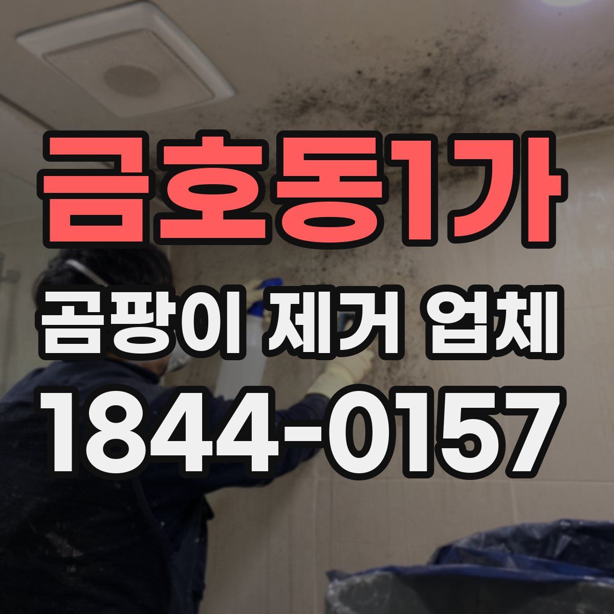 금호동1가 곰팡이 제거 업체