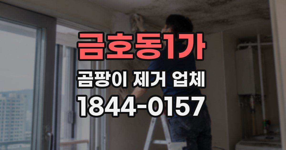 금호동1가 곰팡이 제거 업체