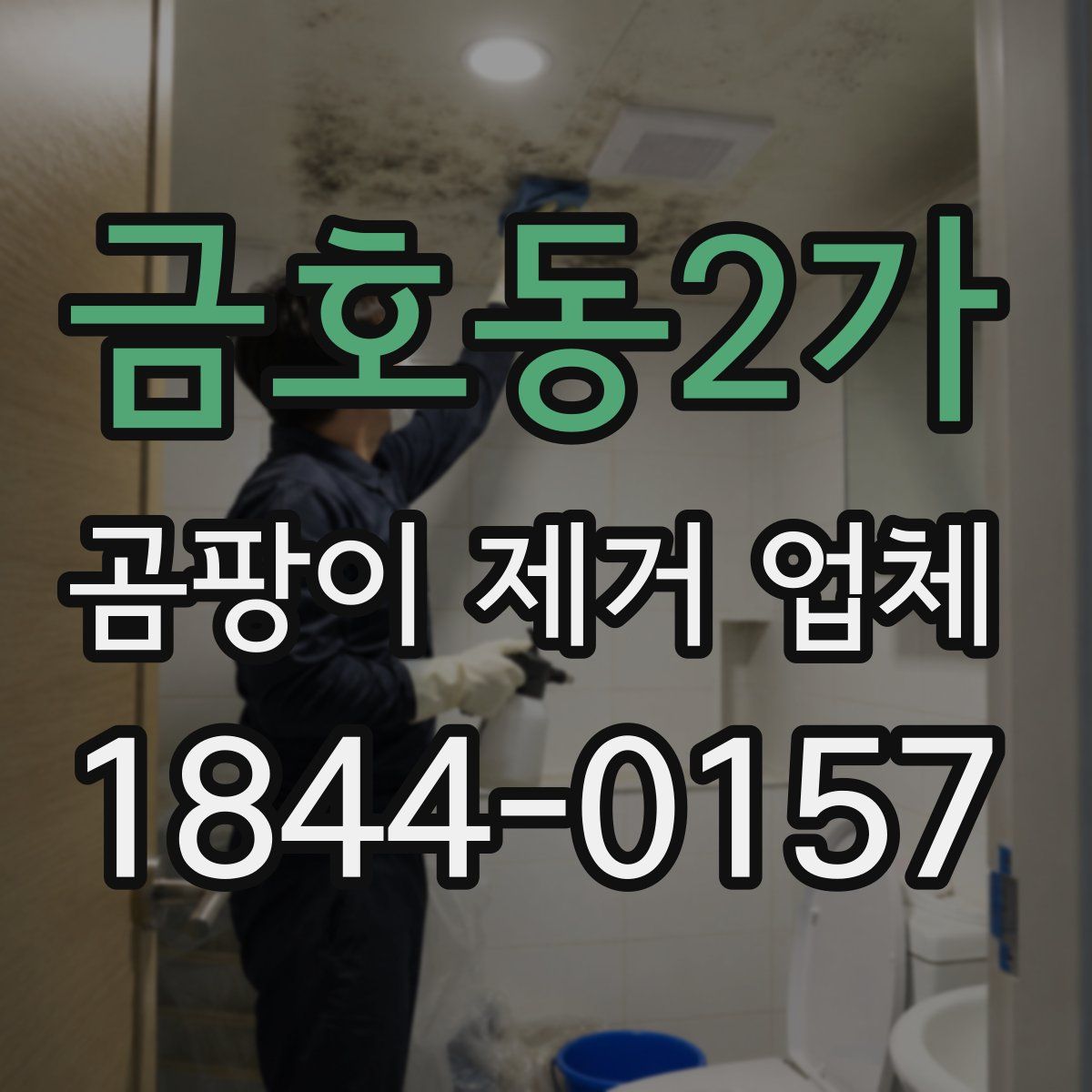 금호동2가 곰팡이 제거 업체