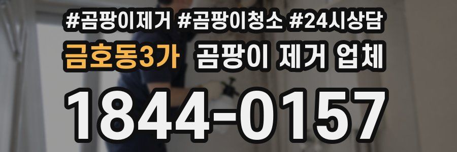 금호동3가 곰팡이 제거 업체
