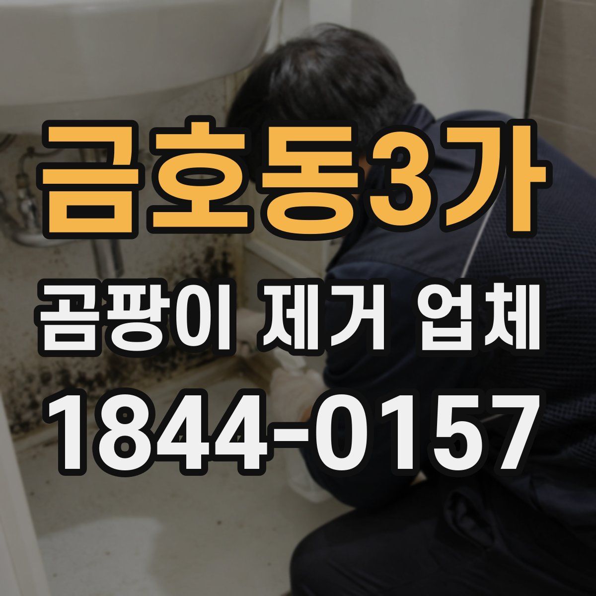 금호동3가 곰팡이 제거 업체