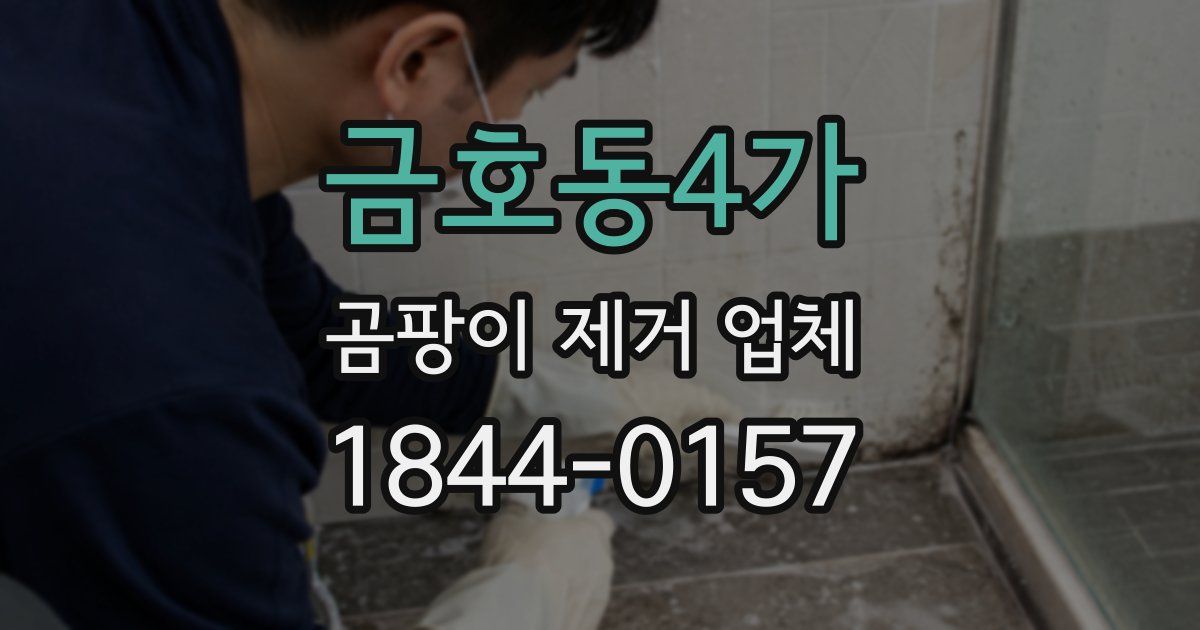 금호동4가 곰팡이 제거 업체