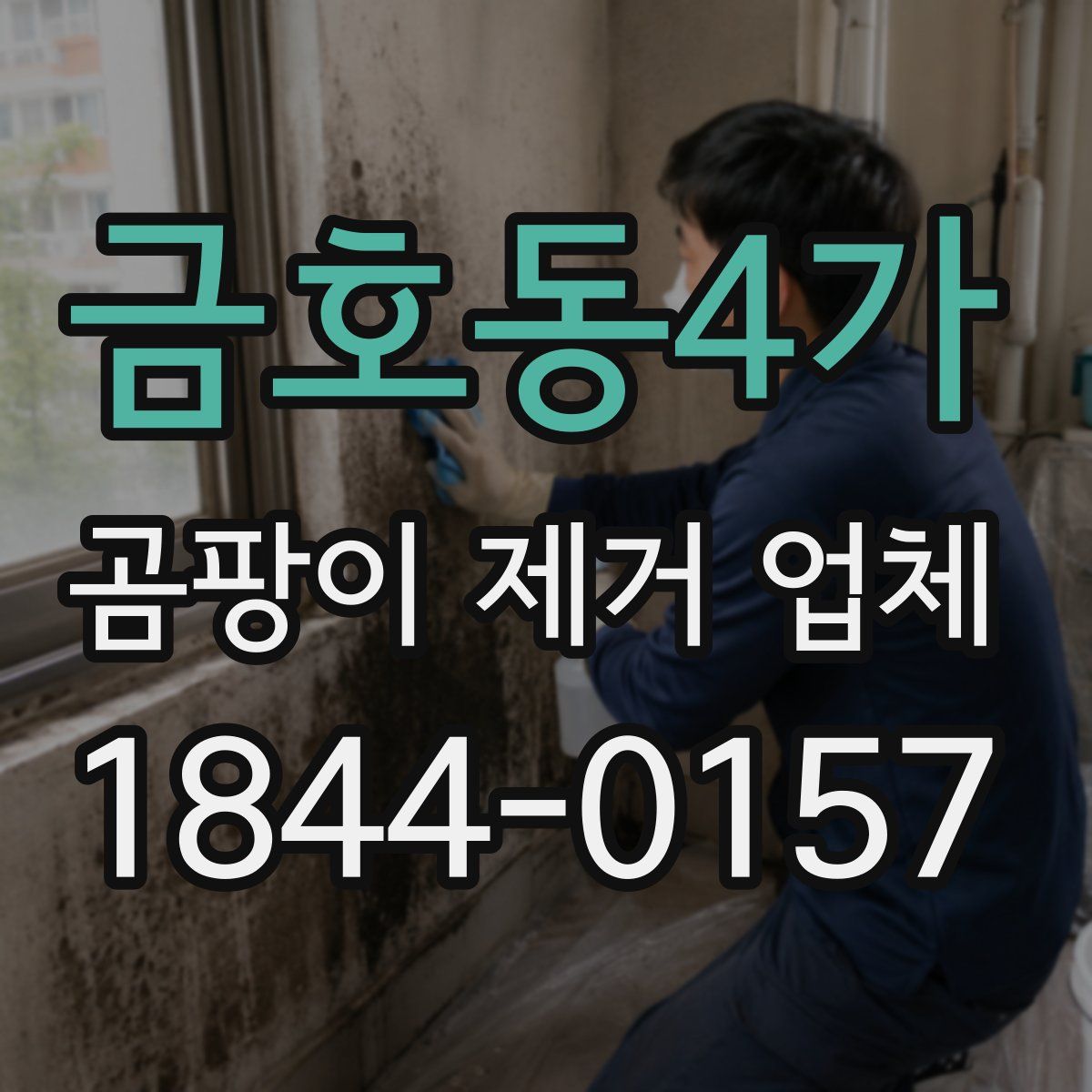 금호동4가 곰팡이 제거 업체