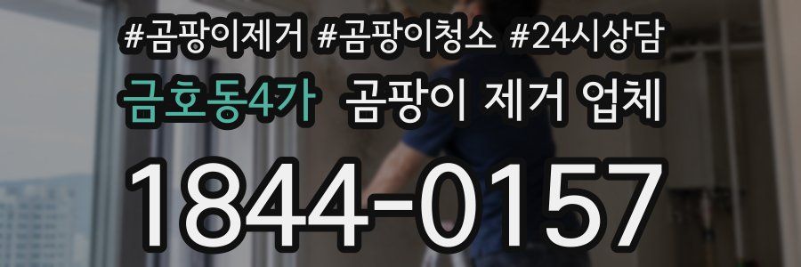 금호동4가 곰팡이 제거 업체