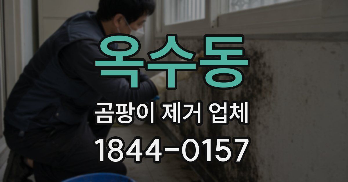 옥수동 곰팡이 제거 업체