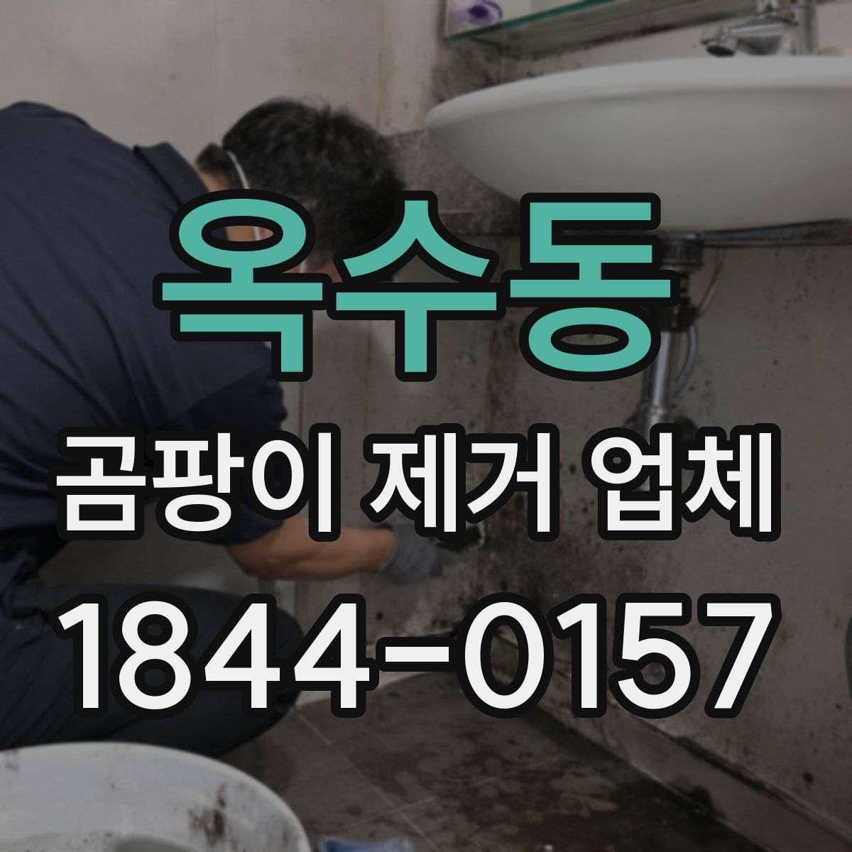 옥수동 곰팡이 제거 업체