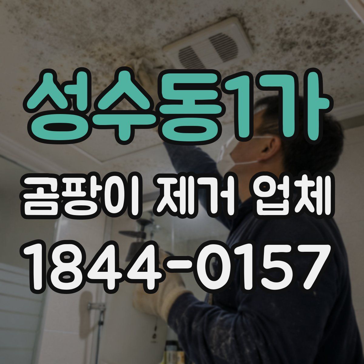 성수동1가 곰팡이 제거 업체