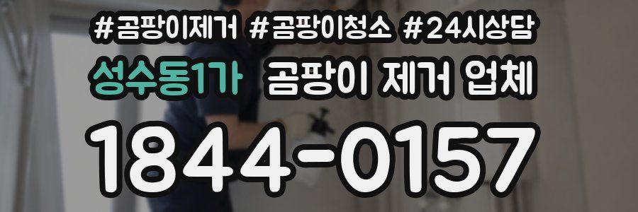 성수동1가 곰팡이 제거 업체