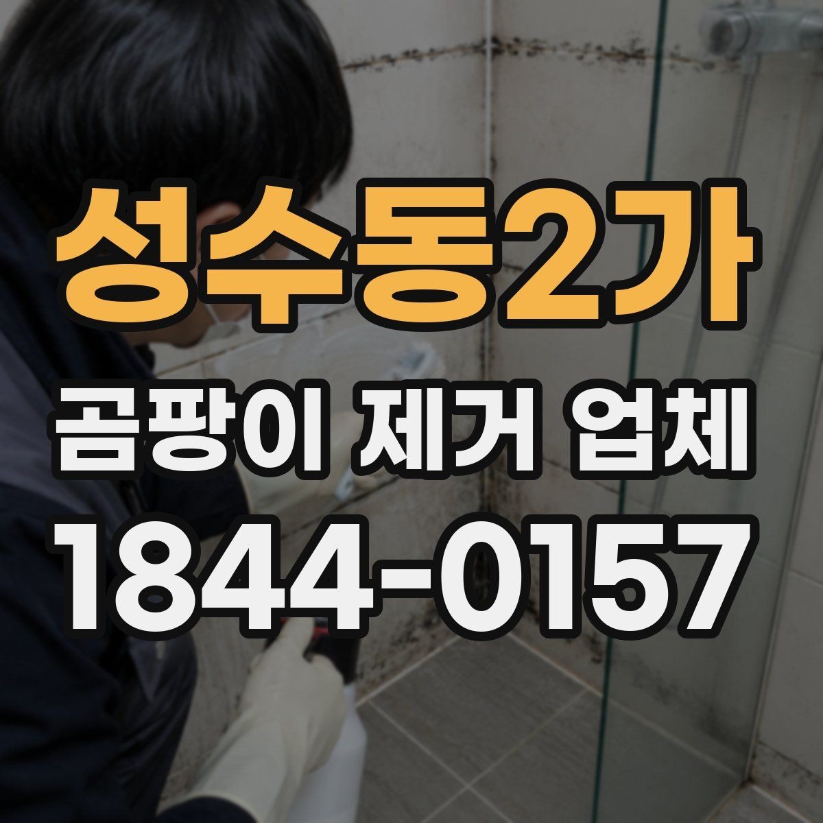 성수동2가 곰팡이 제거 업체 손상된 자재를 고려한 안전한 작업 기준