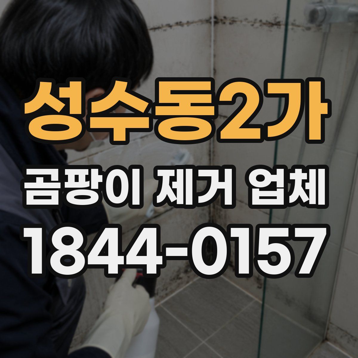 성수동2가 곰팡이 제거 업체