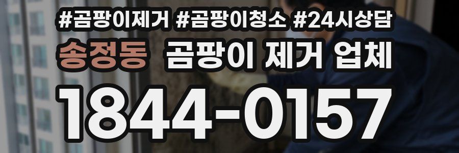 송정동 곰팡이 제거 업체