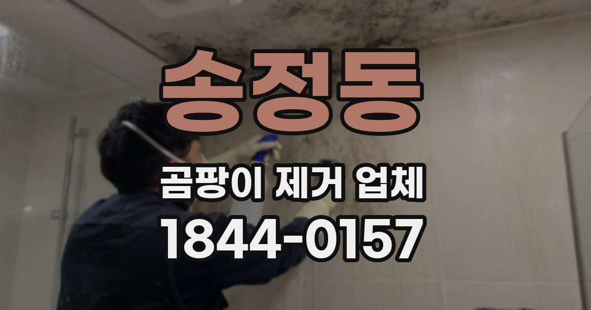 송정동 곰팡이 제거 업체