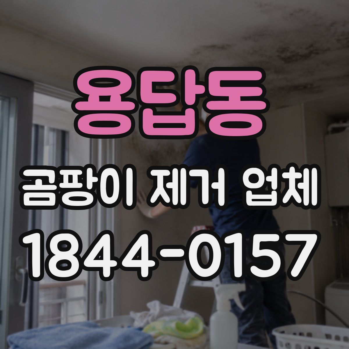 용답동 곰팡이 제거 업체