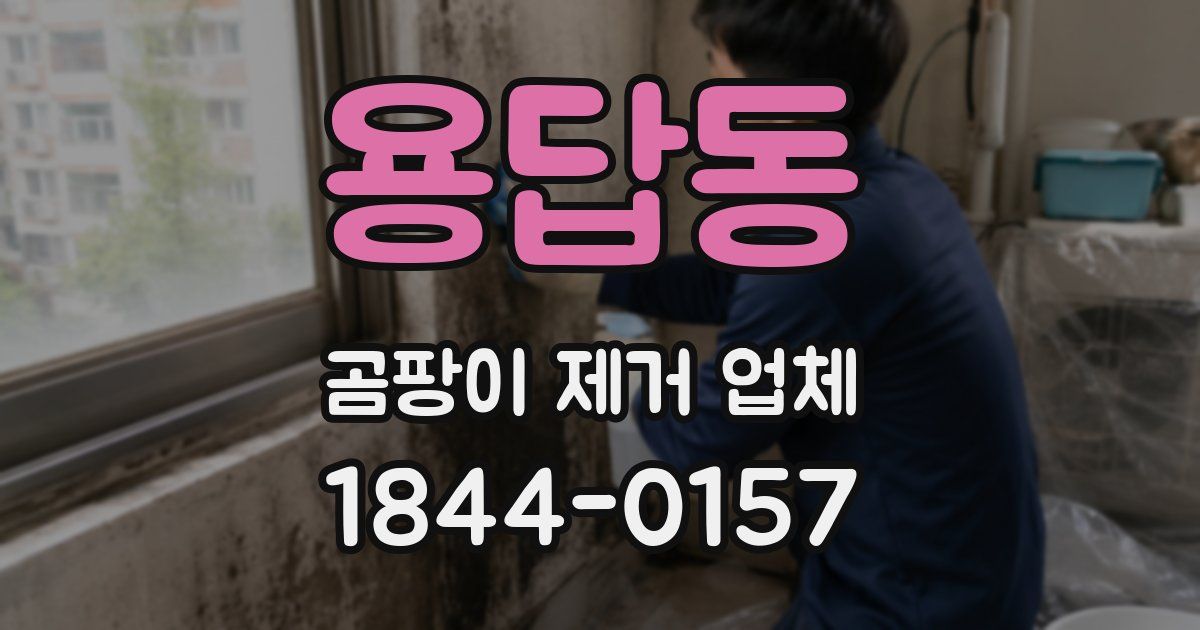 용답동 곰팡이 제거 업체