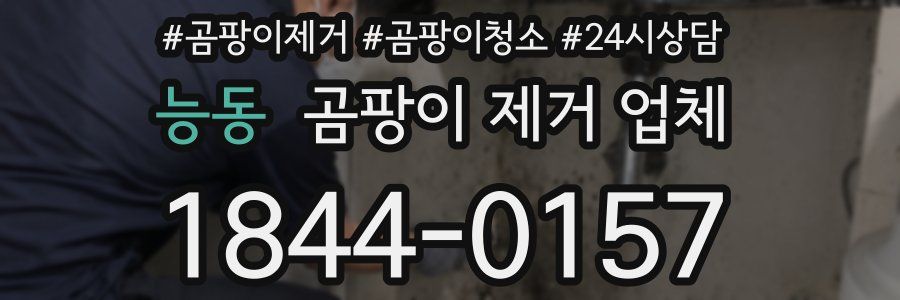 능동 곰팡이 제거 업체