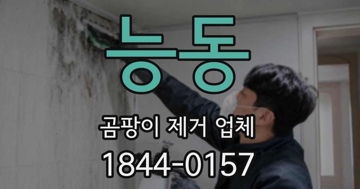 능동 곰팡이 제거 업체