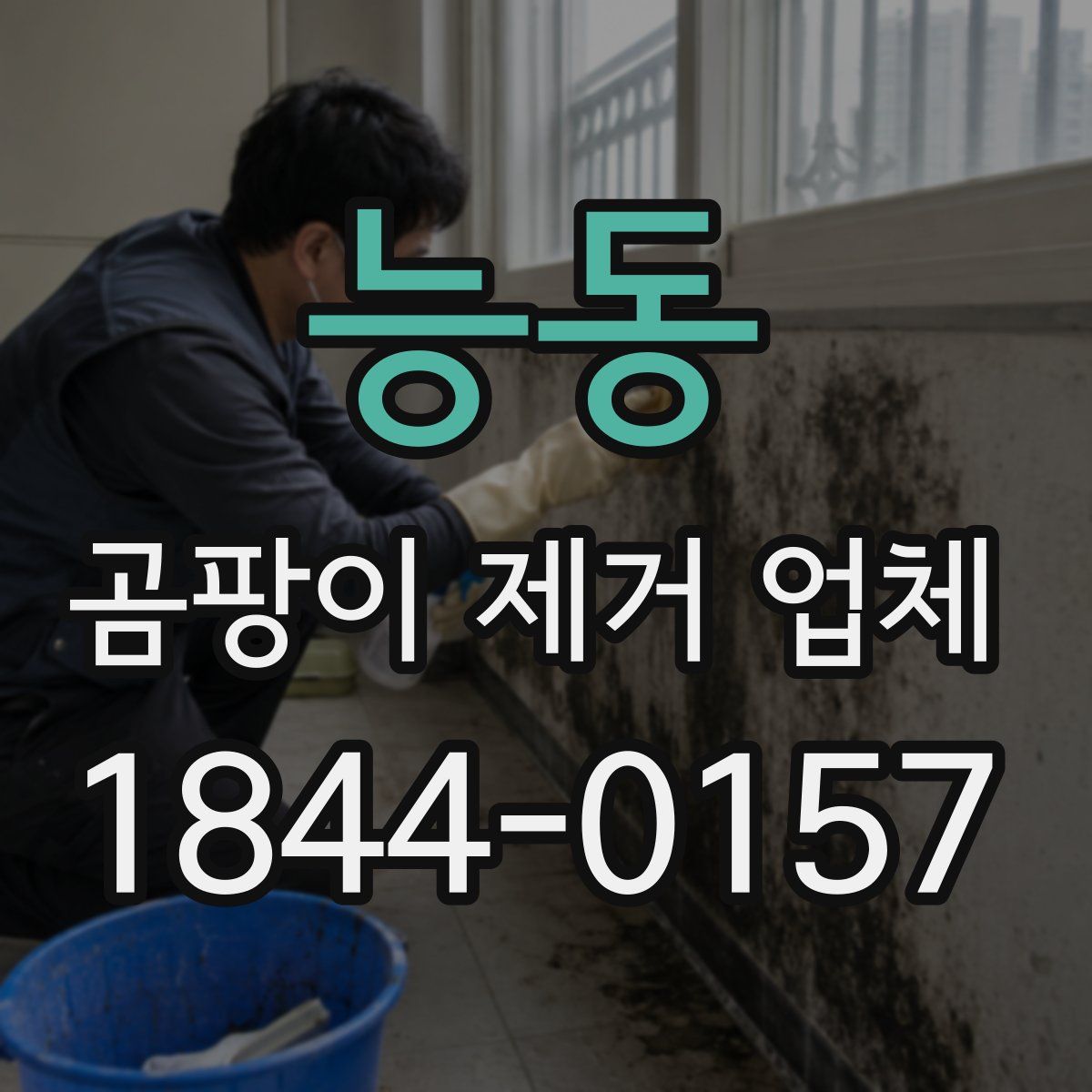 능동 곰팡이 제거 업체
