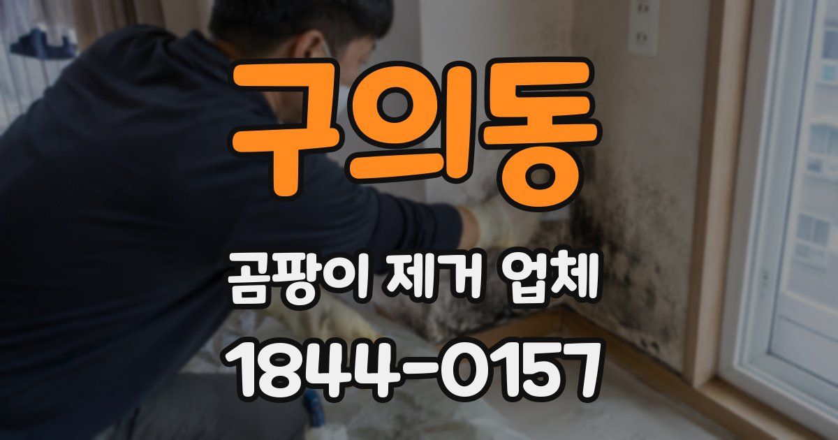 구의동 곰팡이 제거 업체