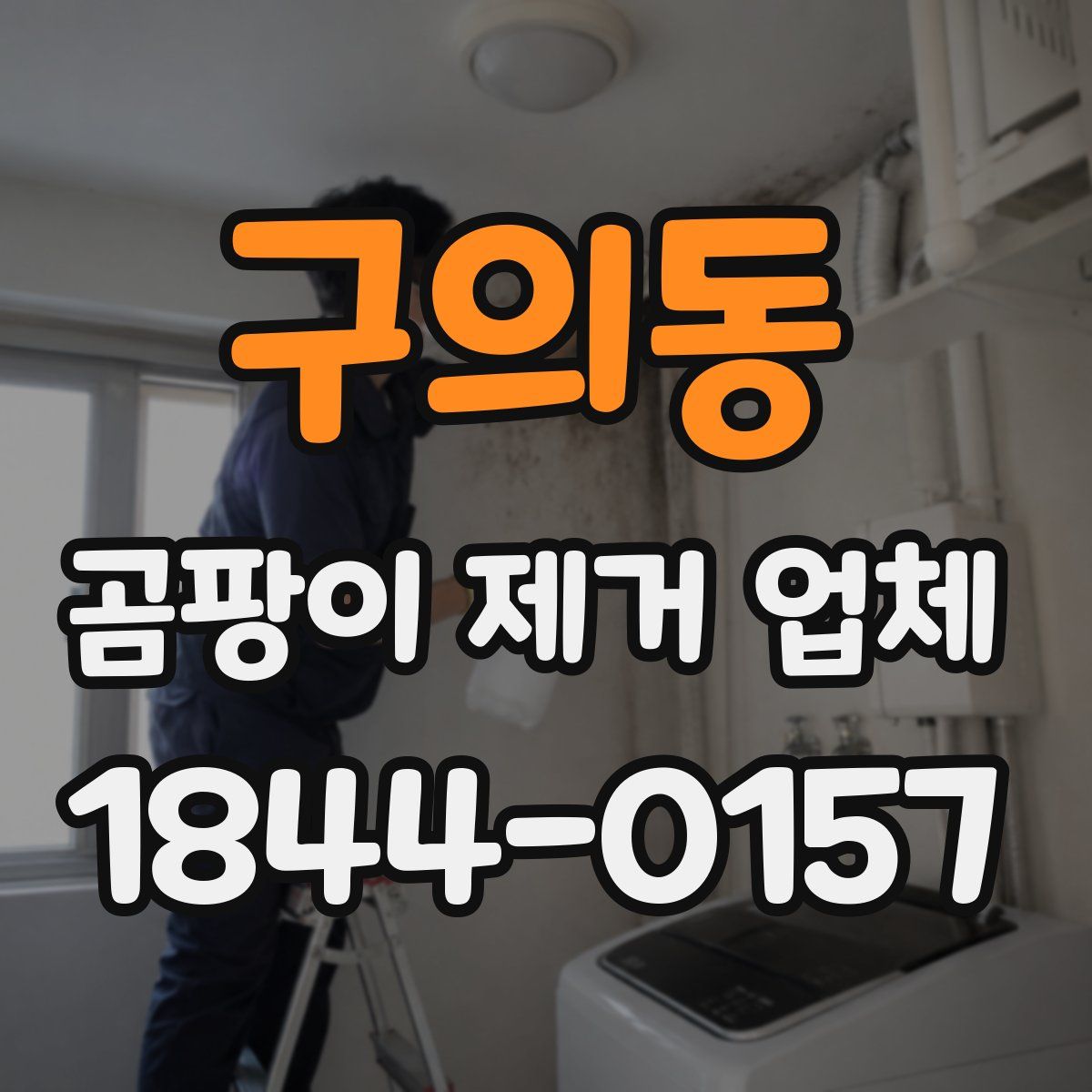 구의동 곰팡이 제거 업체