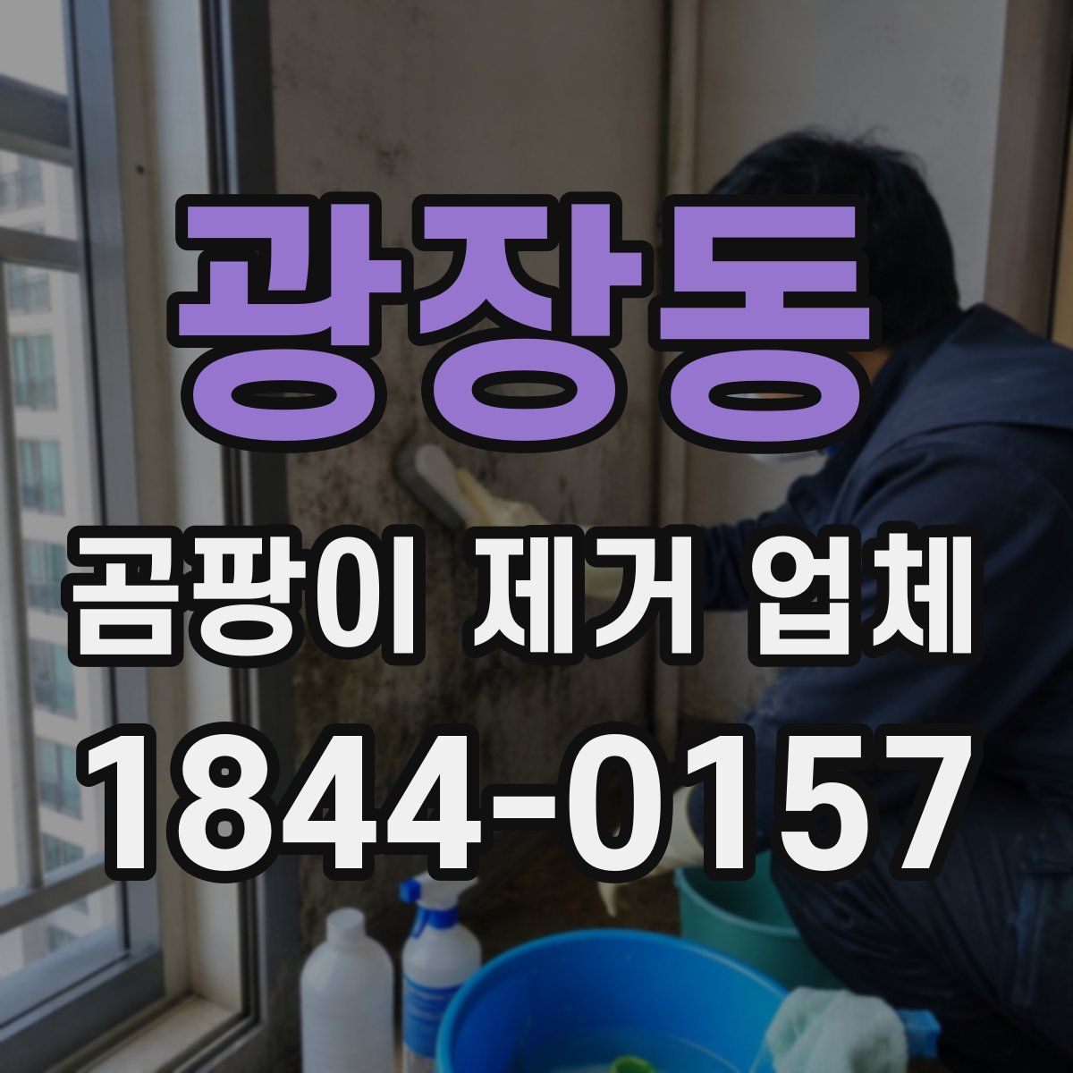 광장동 곰팡이 제거 업체