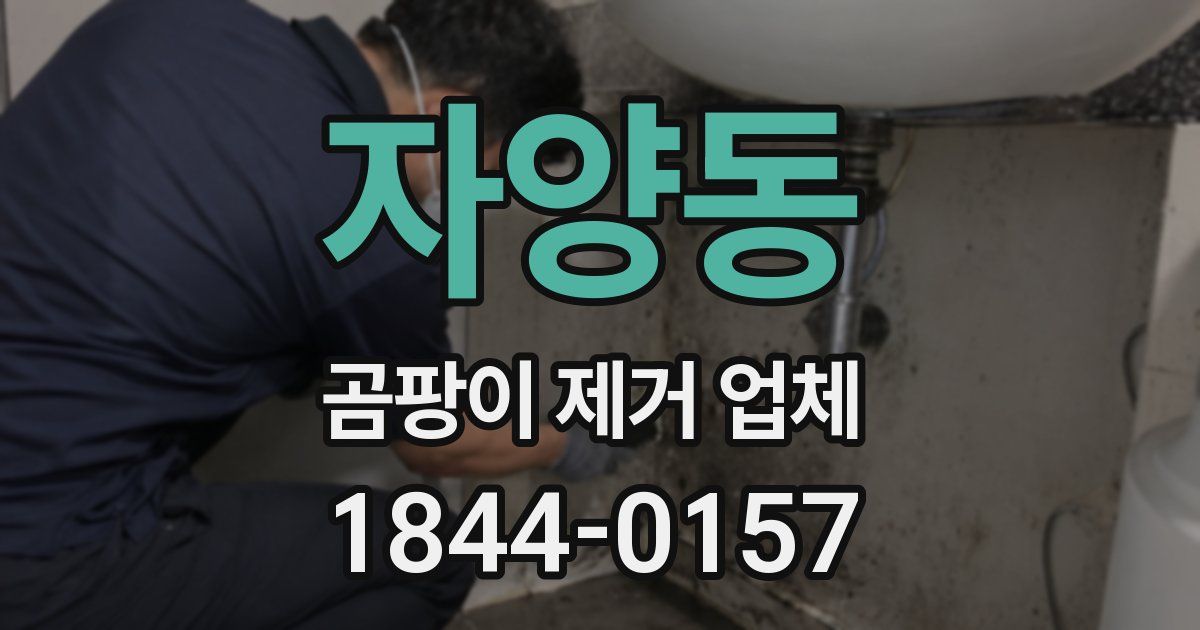 자양동 곰팡이 제거 업체