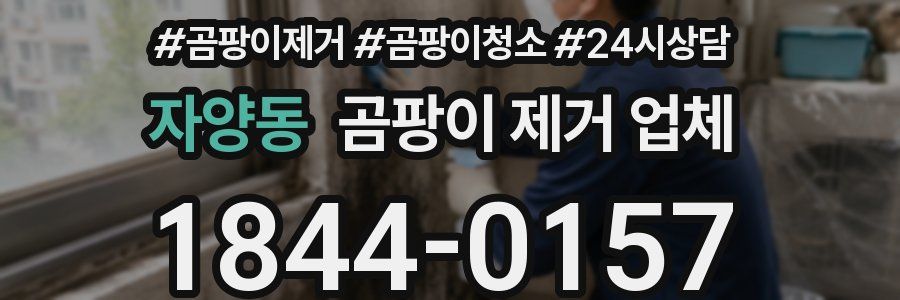 자양동 곰팡이 제거 업체
