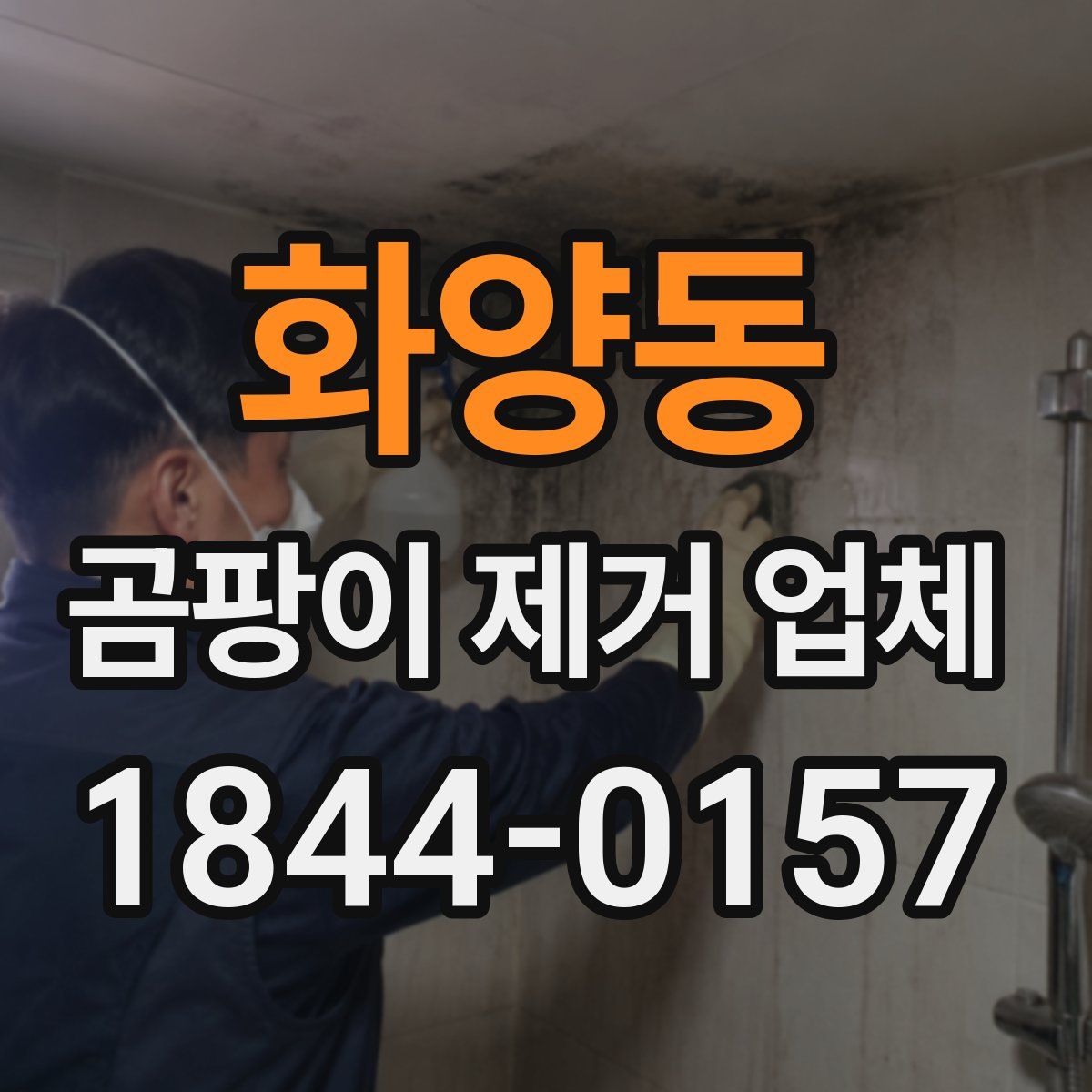 화양동 곰팡이 제거 업체