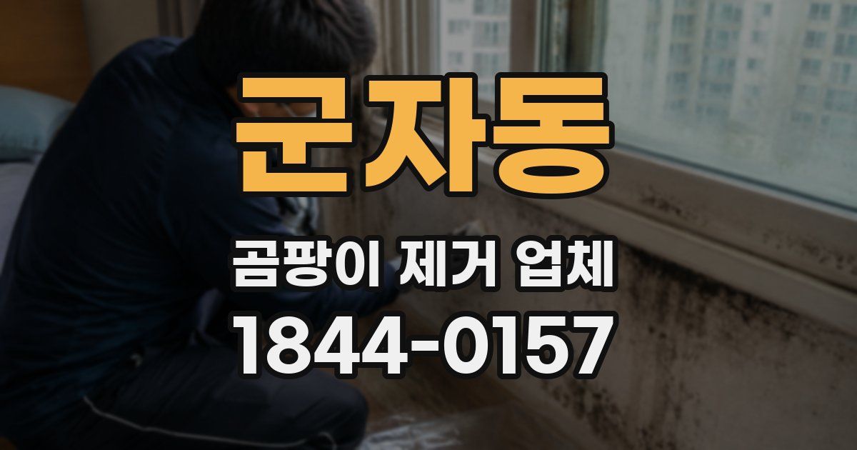 군자동 곰팡이 제거 업체
