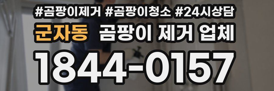 군자동 곰팡이 제거 업체