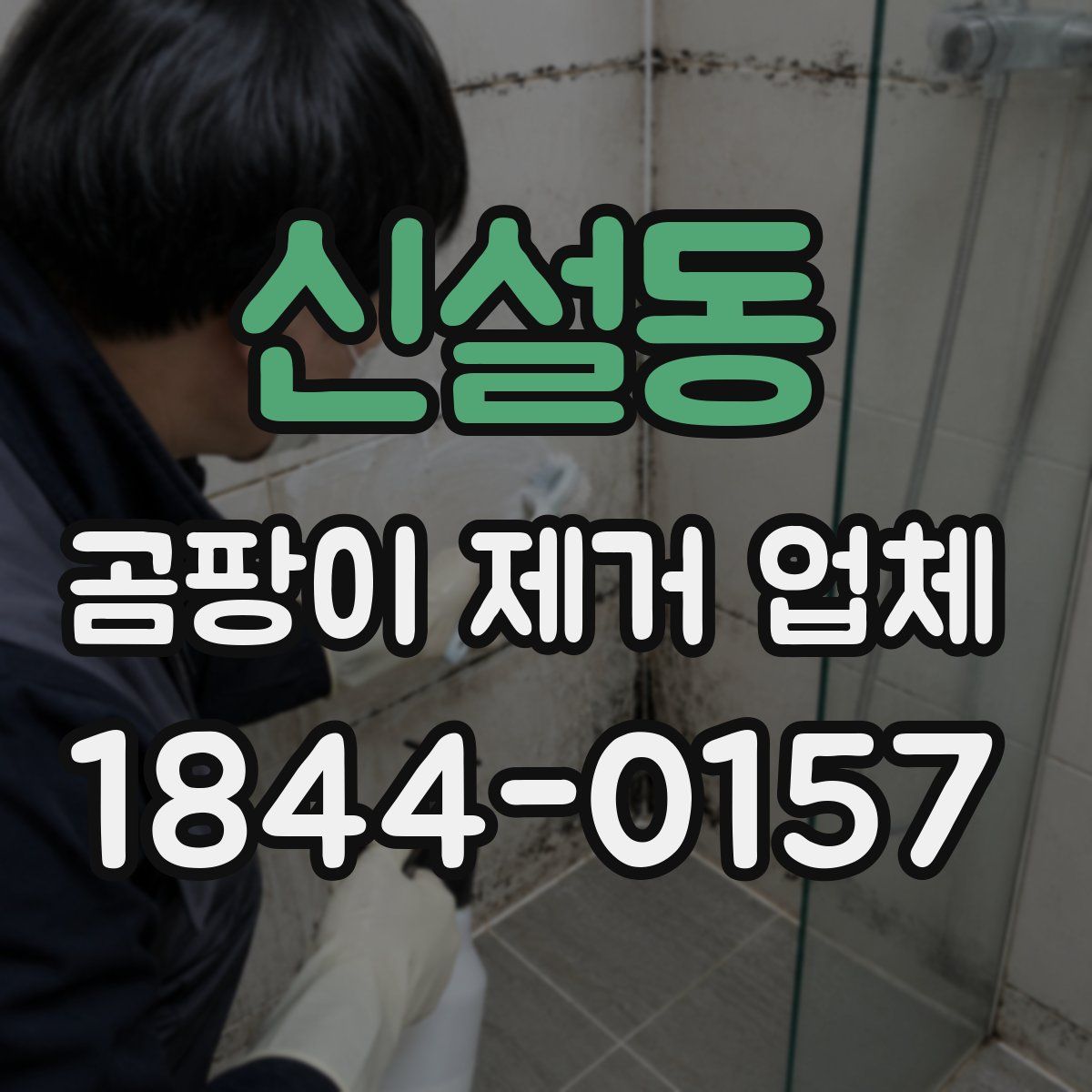 신설동 곰팡이 제거 업체