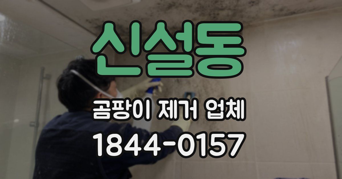 신설동 곰팡이 제거 업체