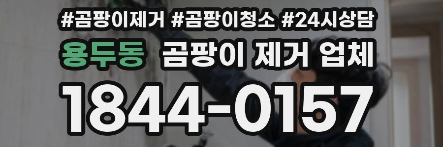 용두동 곰팡이 제거 업체