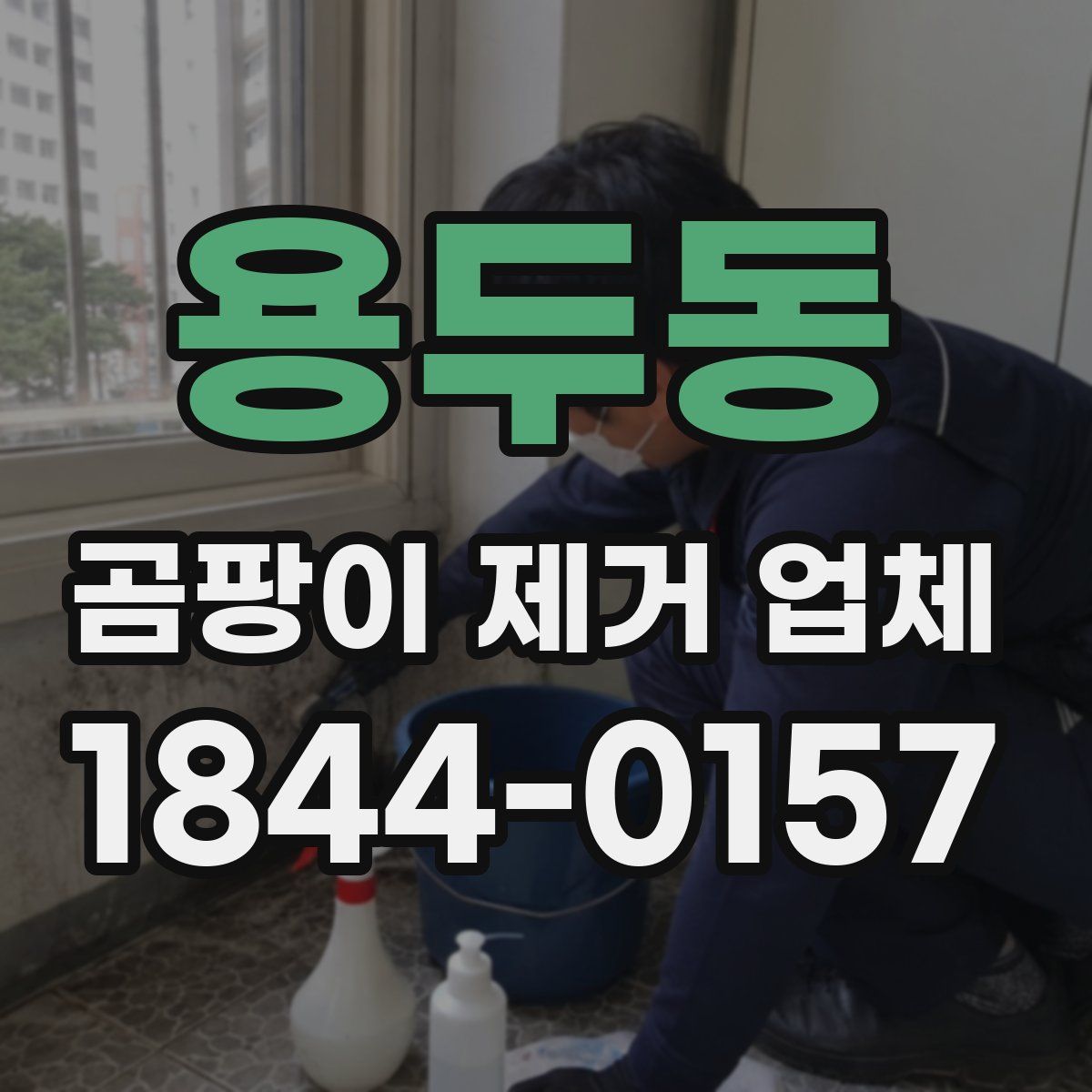 용두동 곰팡이 제거 업체